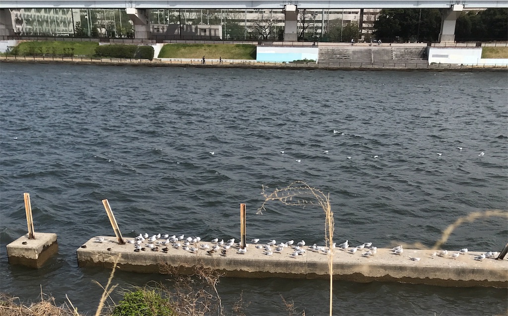 f:id:asakusa5809:20200322162811j:image