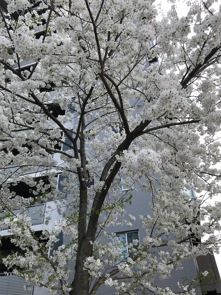 f:id:asakusa5809:20200322163223j:image