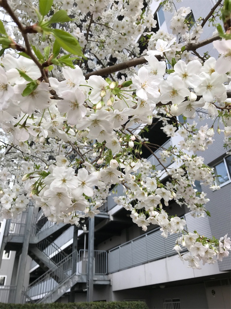 f:id:asakusa5809:20200322163238j:image