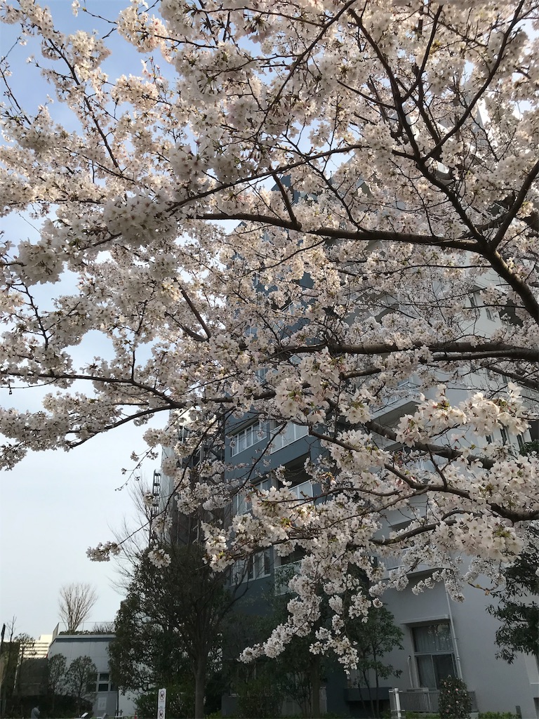 f:id:asakusa5809:20200322163246j:image