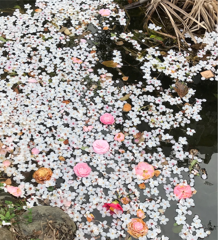 f:id:asakusa5809:20200322163319j:image