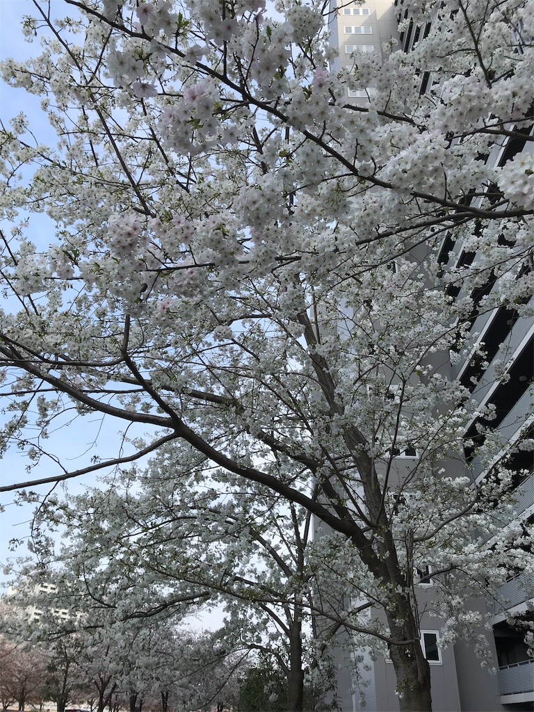 f:id:asakusa5809:20200322174543j:image