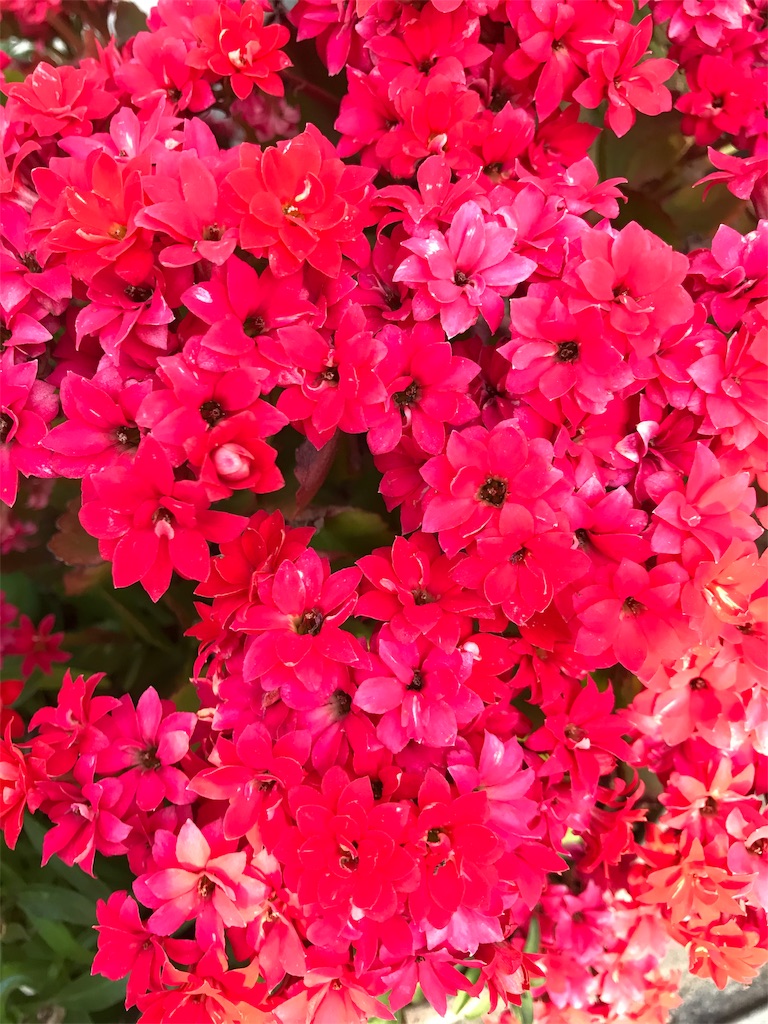 f:id:asakusa5809:20200513204829j:image