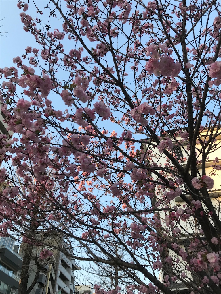 f:id:asakusa5809:20210326193803j:image