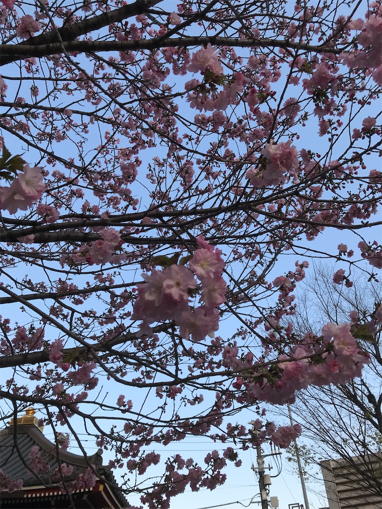 f:id:asakusa5809:20210326193814j:image