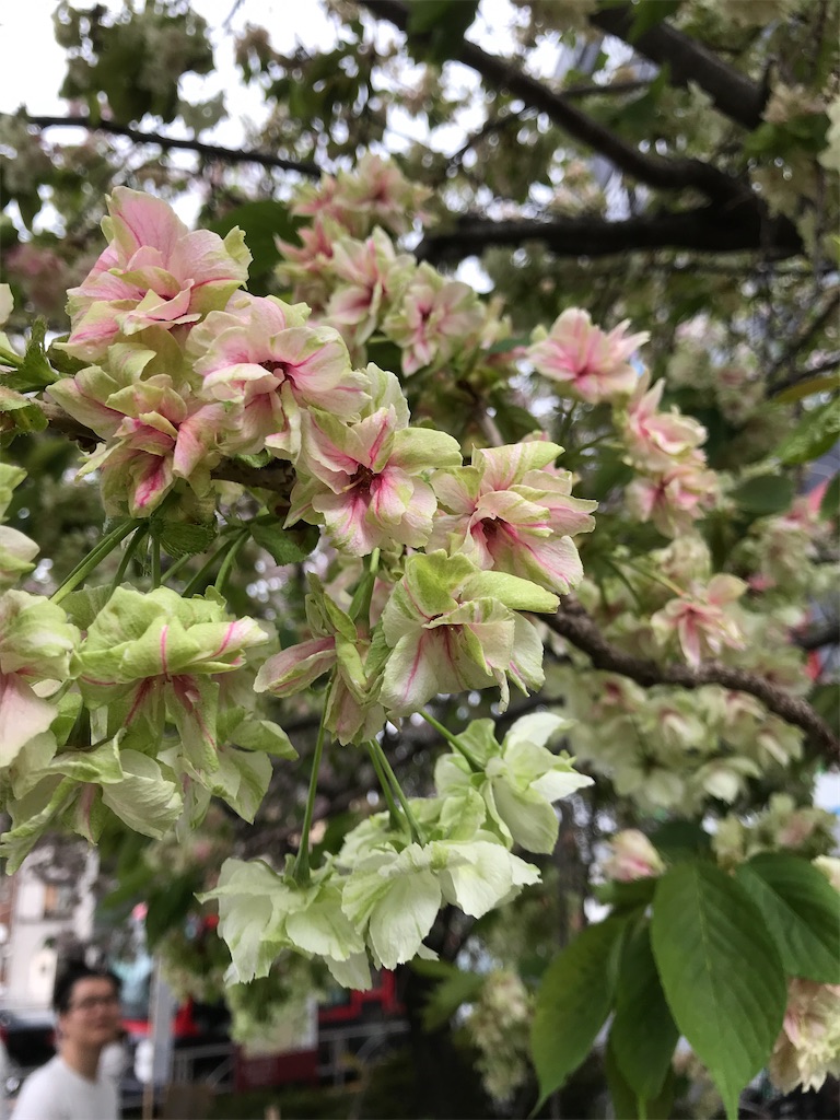 f:id:asakusa5809:20210404170857j:image