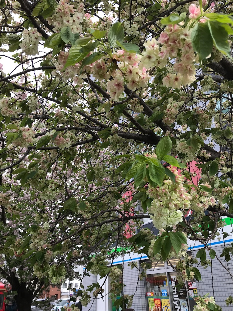 f:id:asakusa5809:20210404170914j:image