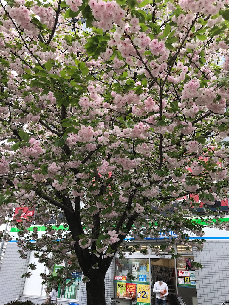 f:id:asakusa5809:20210404171029j:image