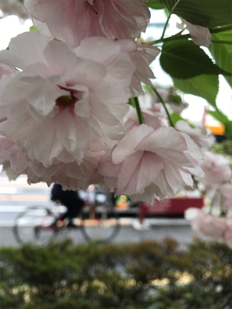 f:id:asakusa5809:20210404171045j:image