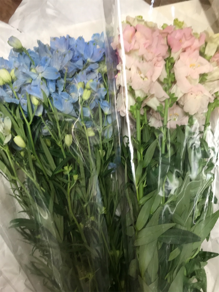 f:id:asakusa5809:20211118083359j:image