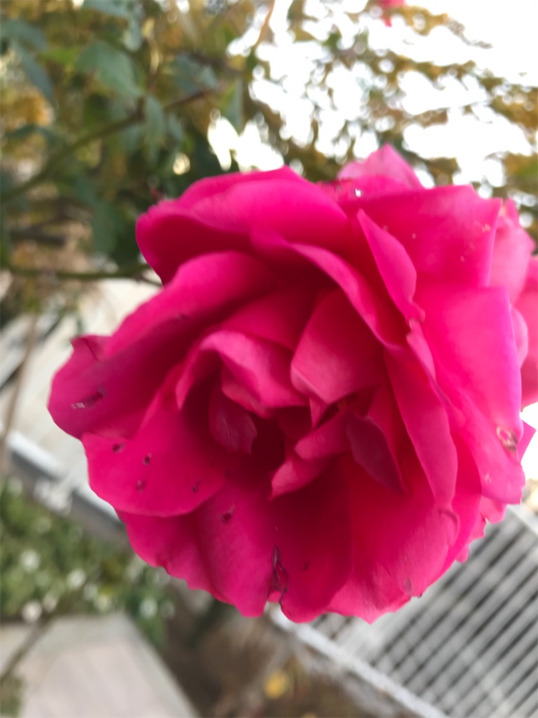 f:id:asakusa5809:20220122191547j:image