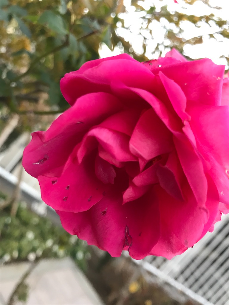 f:id:asakusa5809:20220122191600j:image