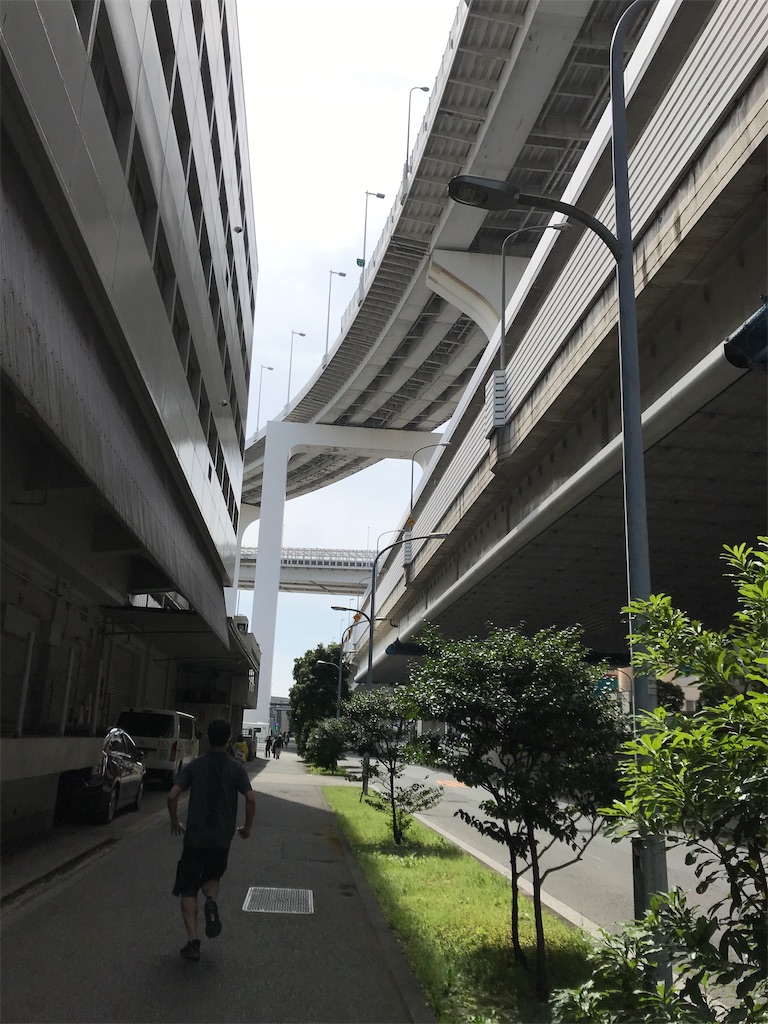 1000人桜ウォーク レインボーブリッジ 浅草散歩道