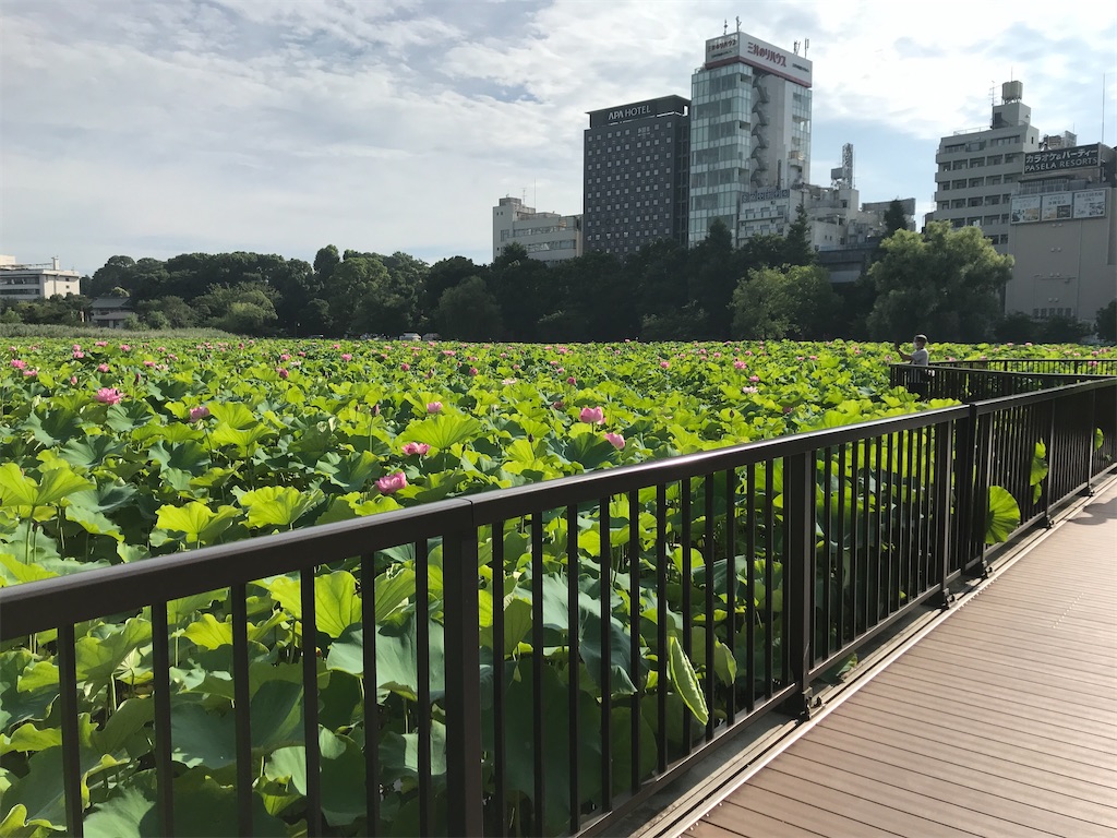 f:id:asakusa5809:20220720101832j:image