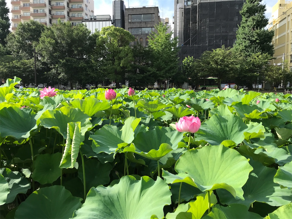 f:id:asakusa5809:20220720101846j:image