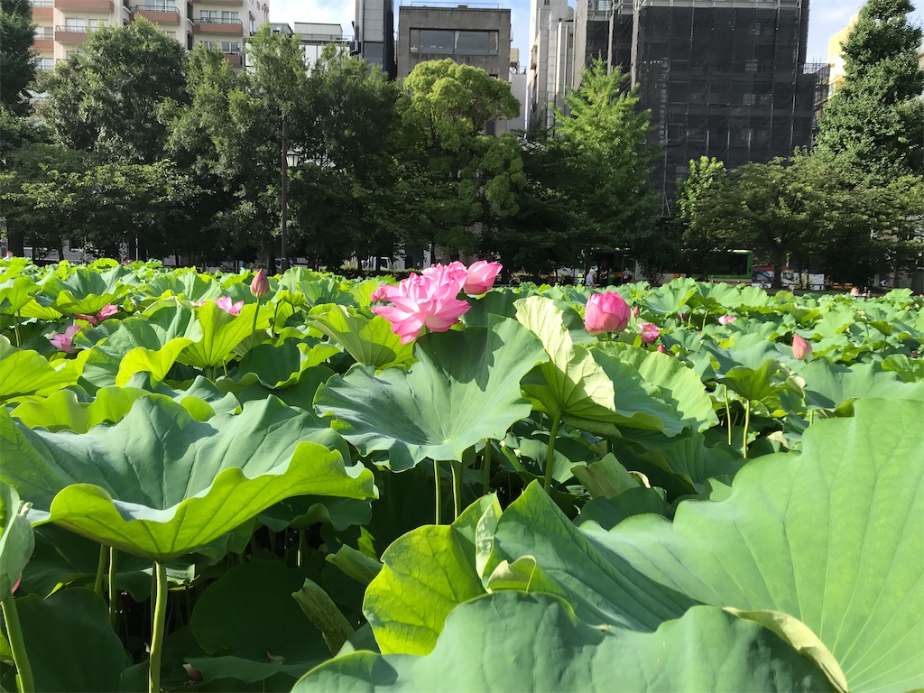 f:id:asakusa5809:20220720101859j:image