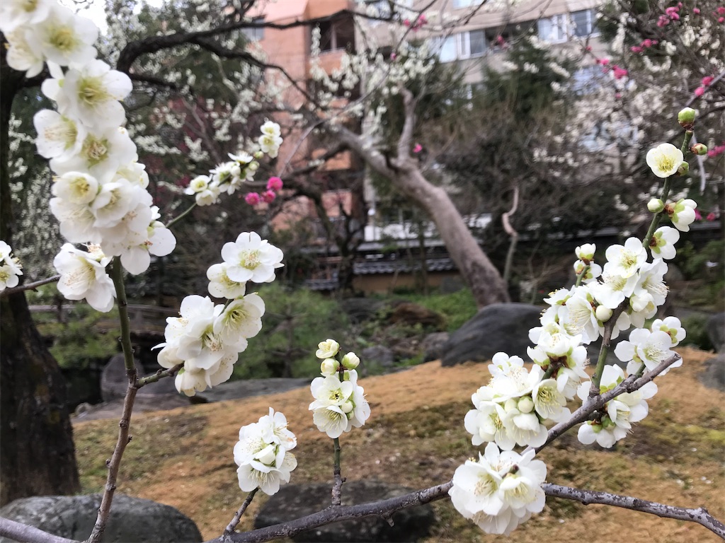 f:id:asakusa5809:20230214080446j:image