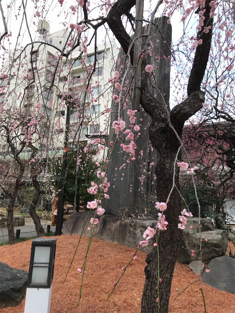 f:id:asakusa5809:20230214080458j:image