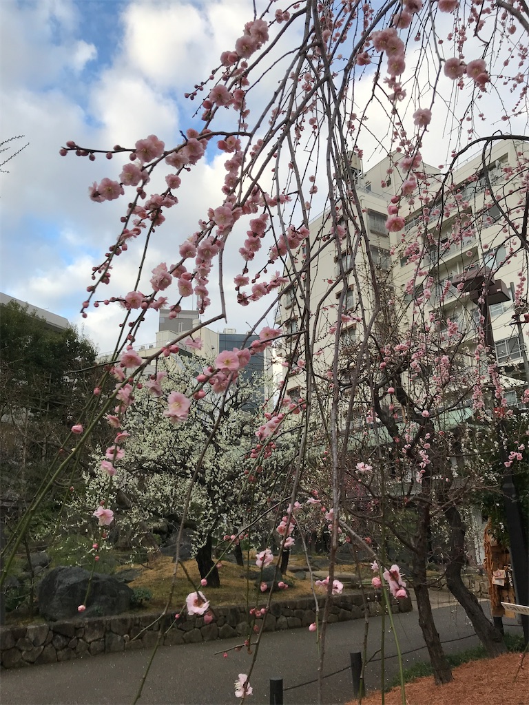 f:id:asakusa5809:20230214080508j:image
