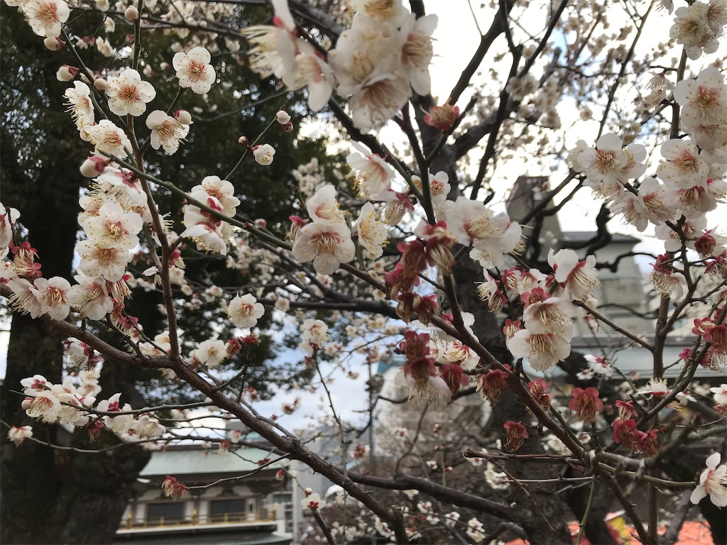f:id:asakusa5809:20230214080540j:image