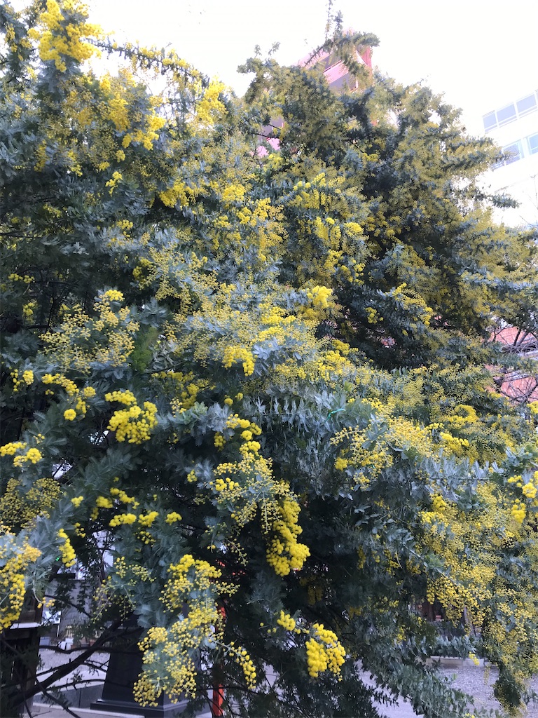 f:id:asakusa5809:20230218133731j:image