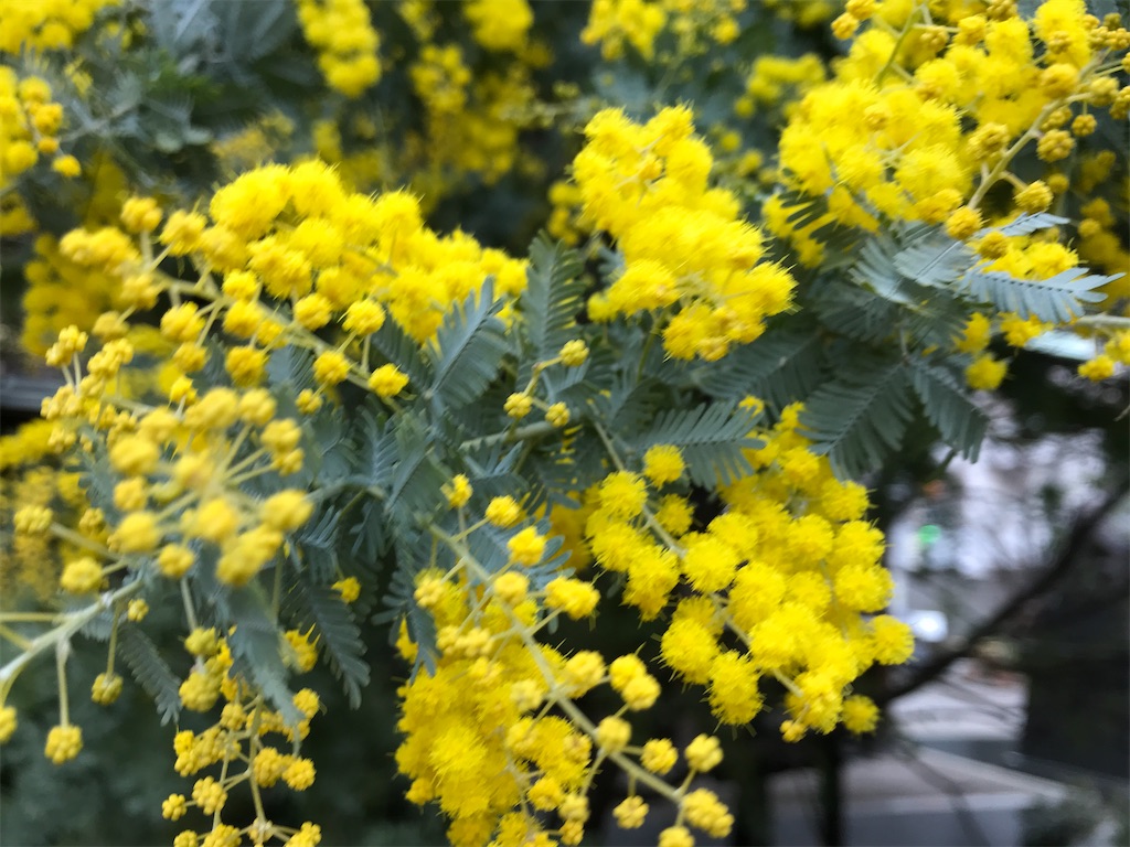f:id:asakusa5809:20230221082001j:image