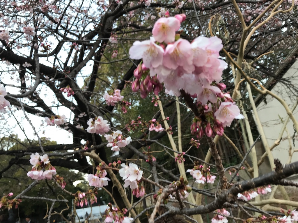 f:id:asakusa5809:20230227184234j:image