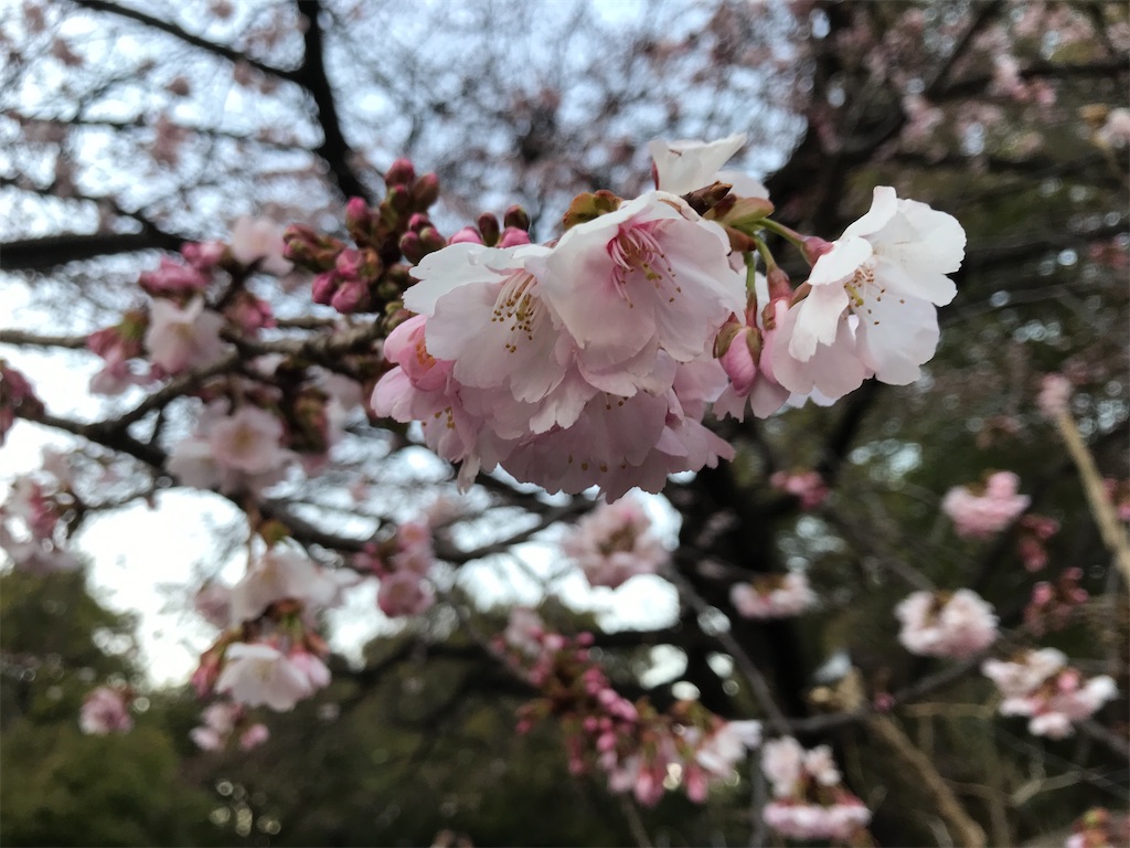 f:id:asakusa5809:20230227184245j:image