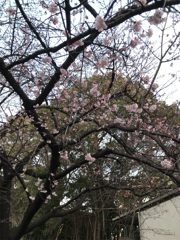 f:id:asakusa5809:20230227184255j:image
