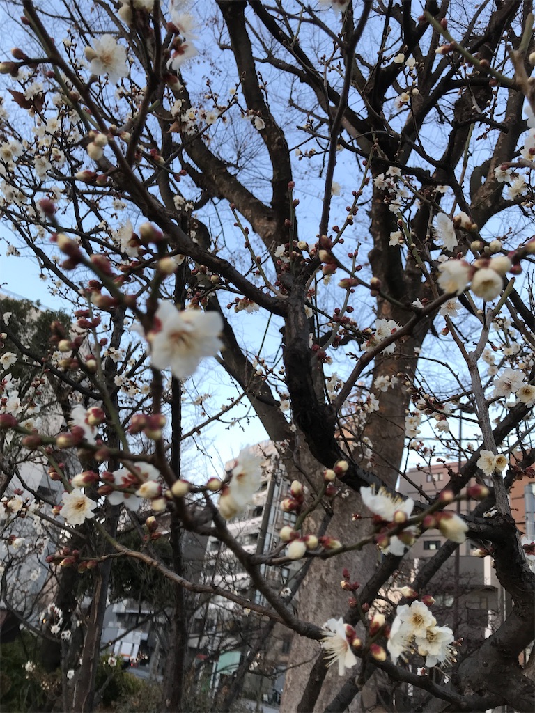 f:id:asakusa5809:20240117072140j:image