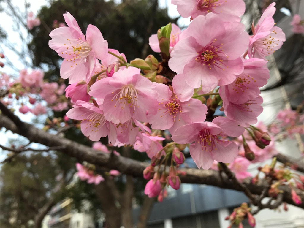 f:id:asakusa5809:20240219081347j:image f:id:asakusa5809:20240219081347j:image