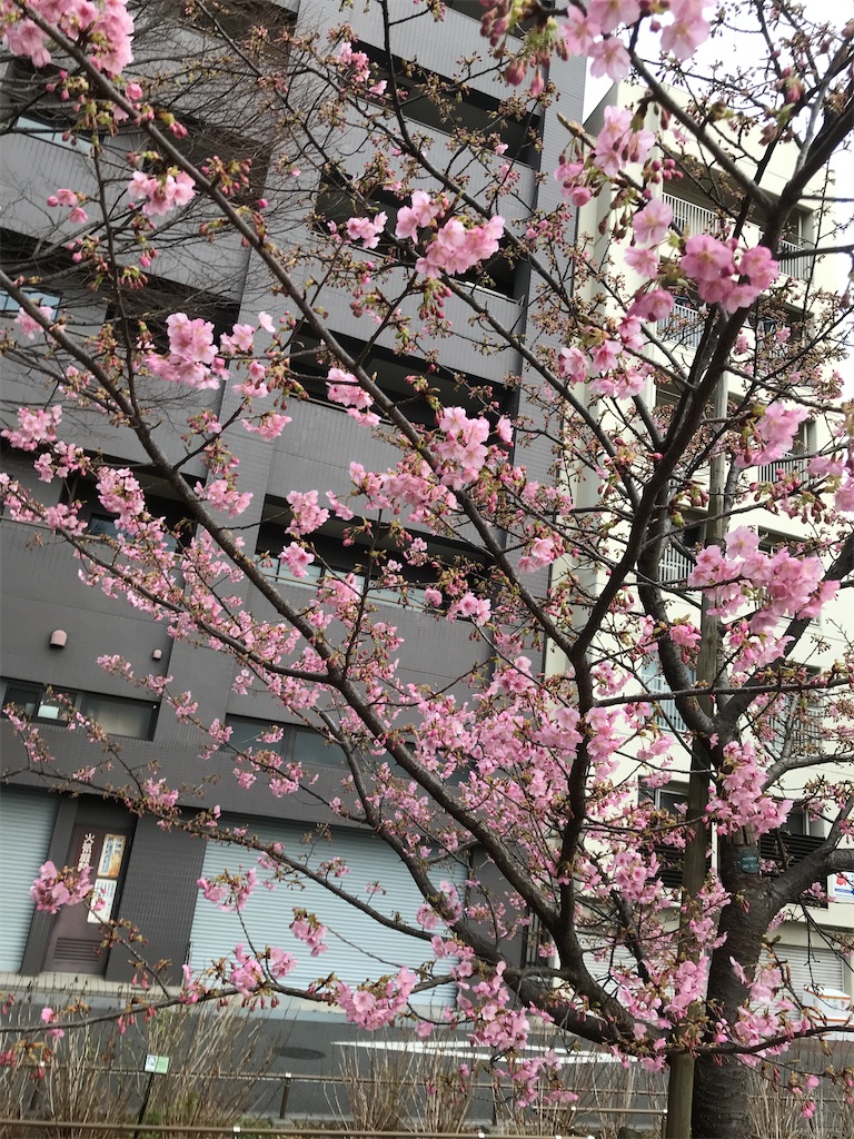 f:id:asakusa5809:20240219081416j:image f:id:asakusa5809:20240219081416j:image