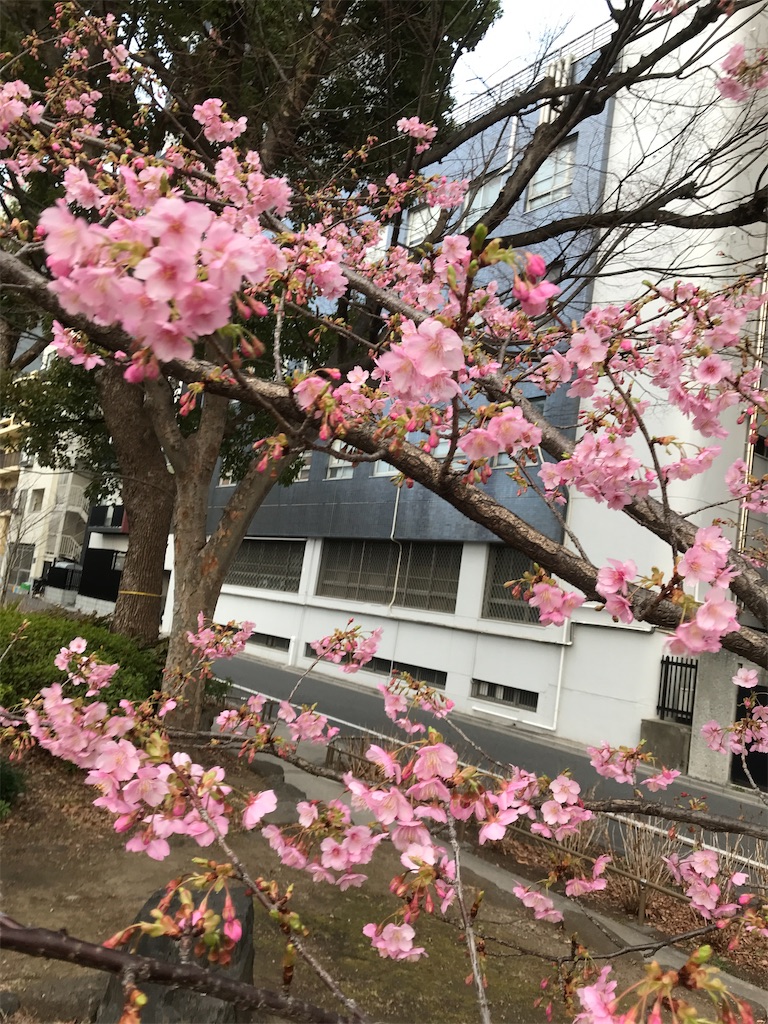 f:id:asakusa5809:20240219081421j:image f:id:asakusa5809:20240219081421j:image