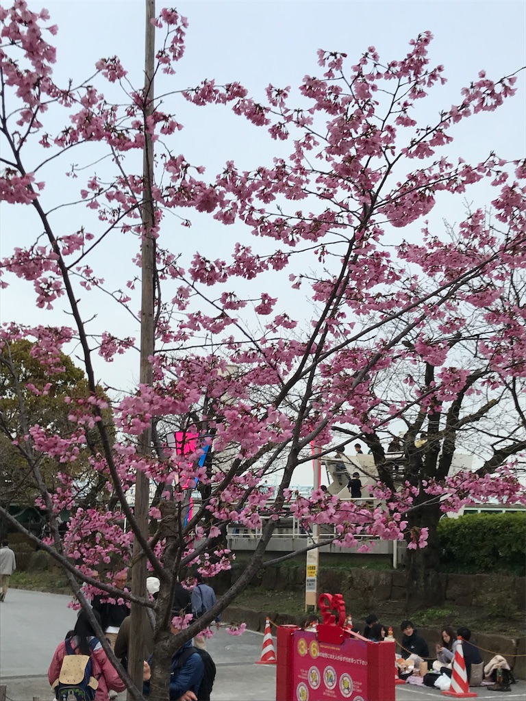 f:id:asakusa5809:20240330214101j:image f:id:asakusa5809:20240330214101j:image