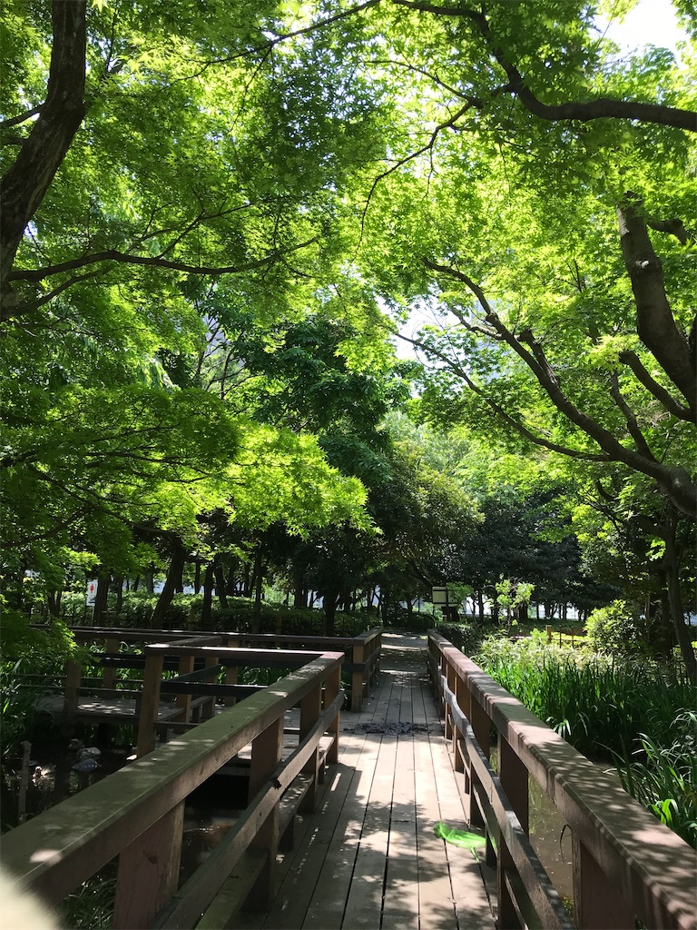 f:id:asakusa5809:20240428144514j:image