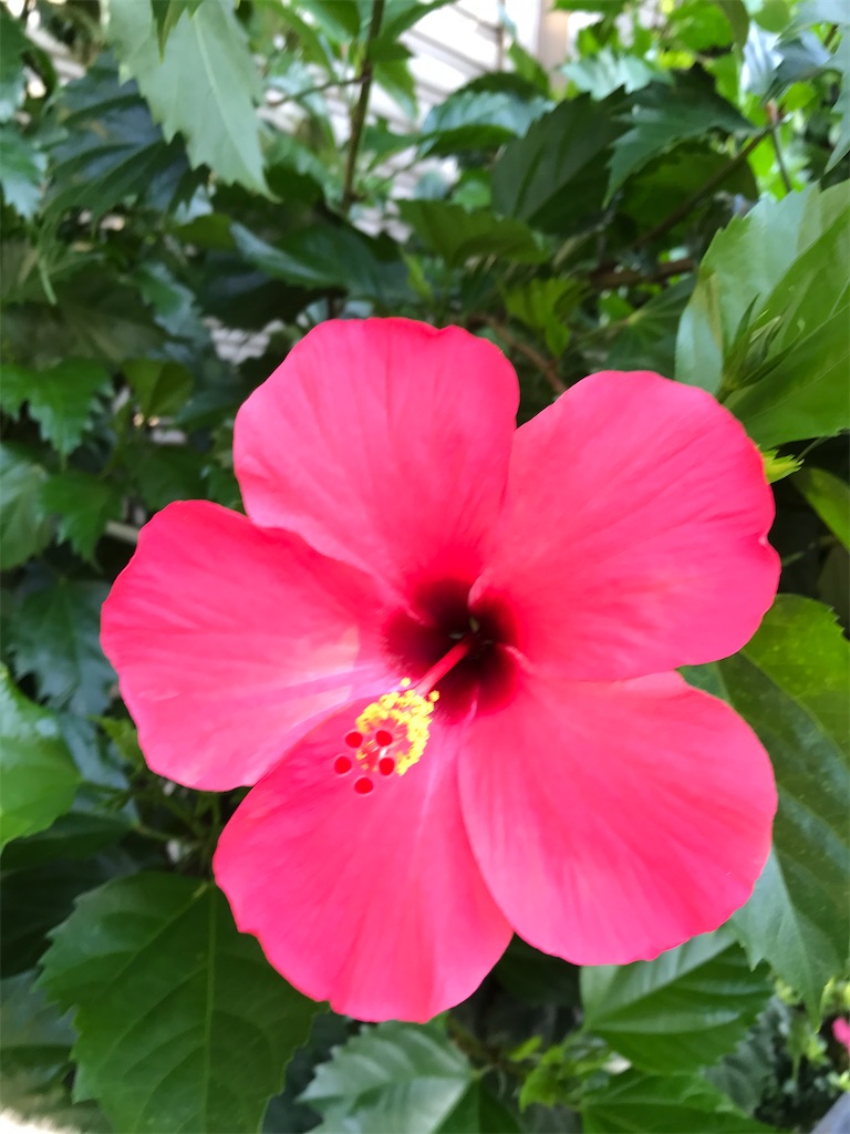 f:id:asakusa5809:20240918115426j:image