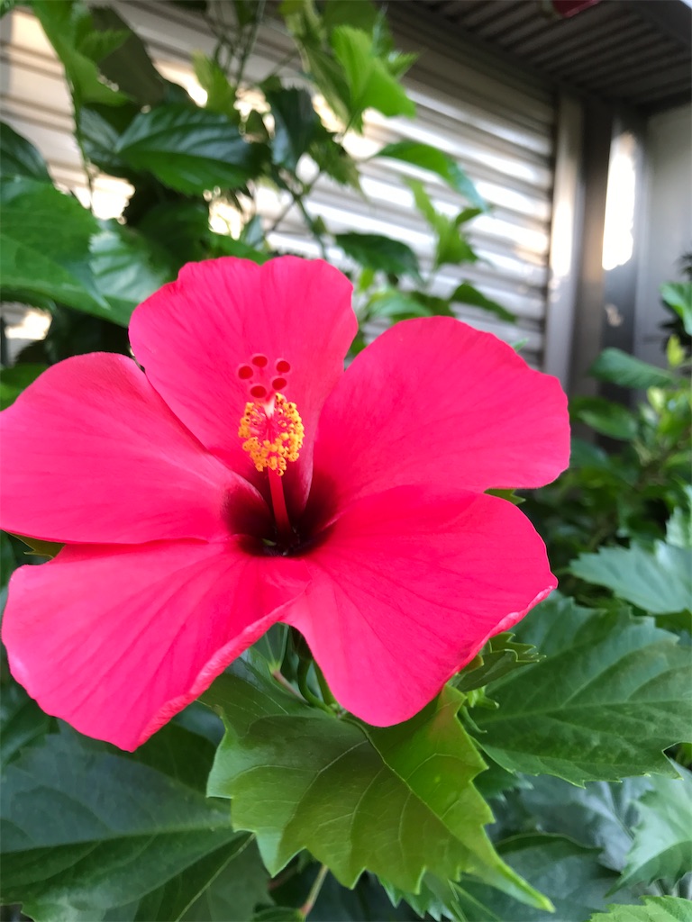 f:id:asakusa5809:20240918115437j:image