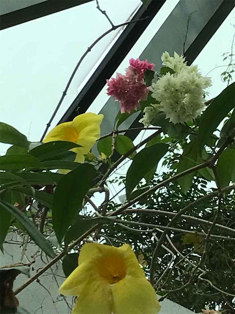 f:id:asakusa5809:20240924090346j:image