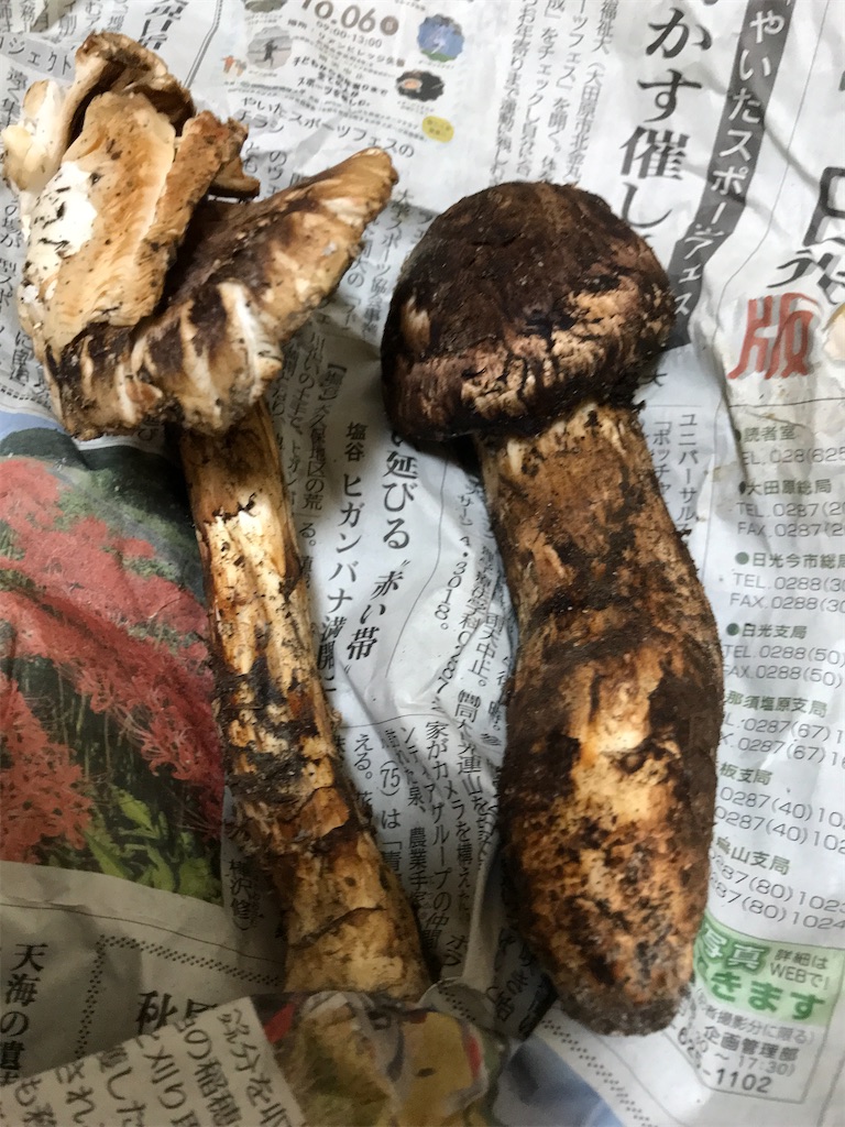 f:id:asakusa5809:20241023072721j:image