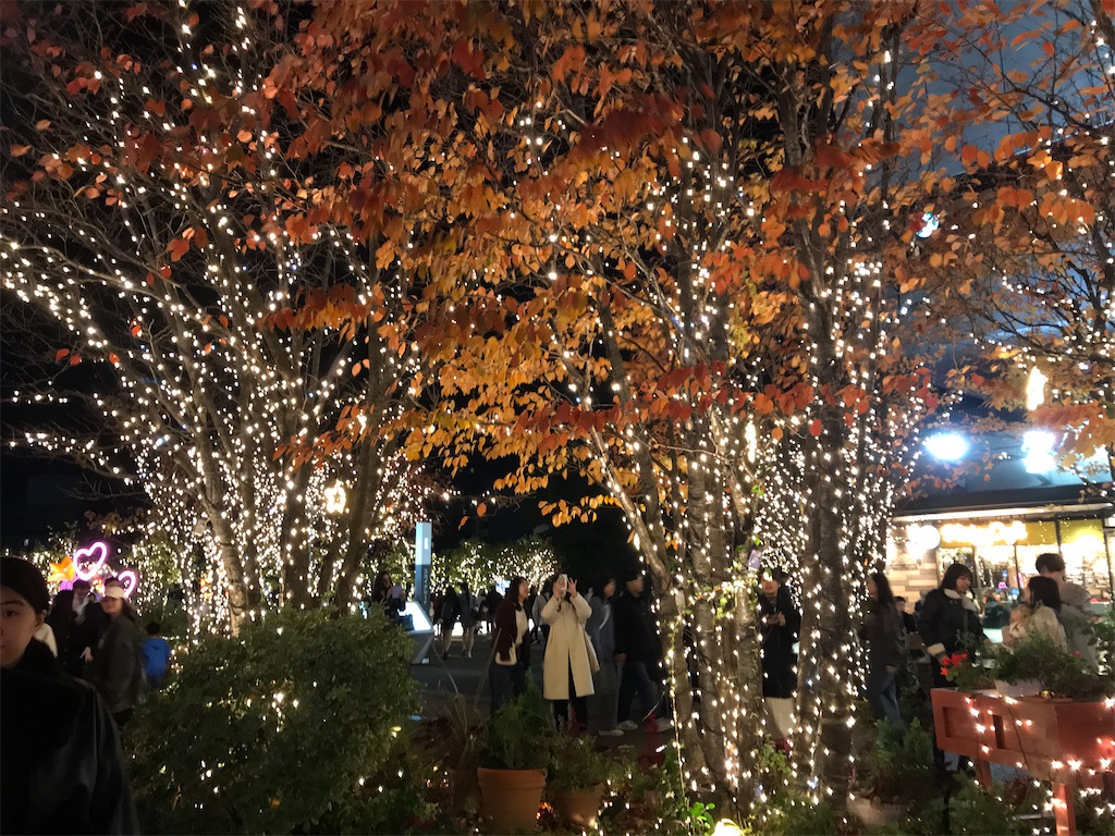 f:id:asakusa5809:20241129072741j:image
