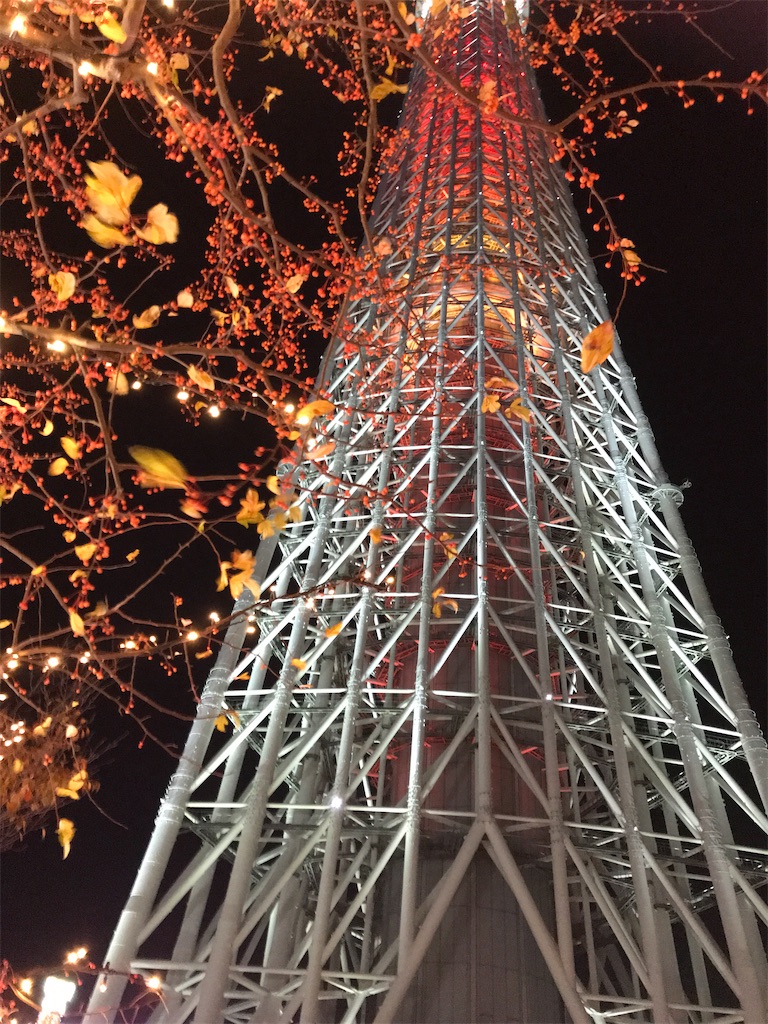 f:id:asakusa5809:20241129072813j:image