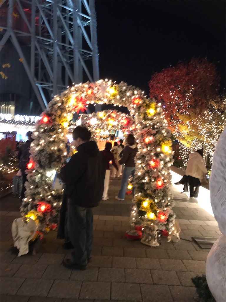 f:id:asakusa5809:20241129072827j:image