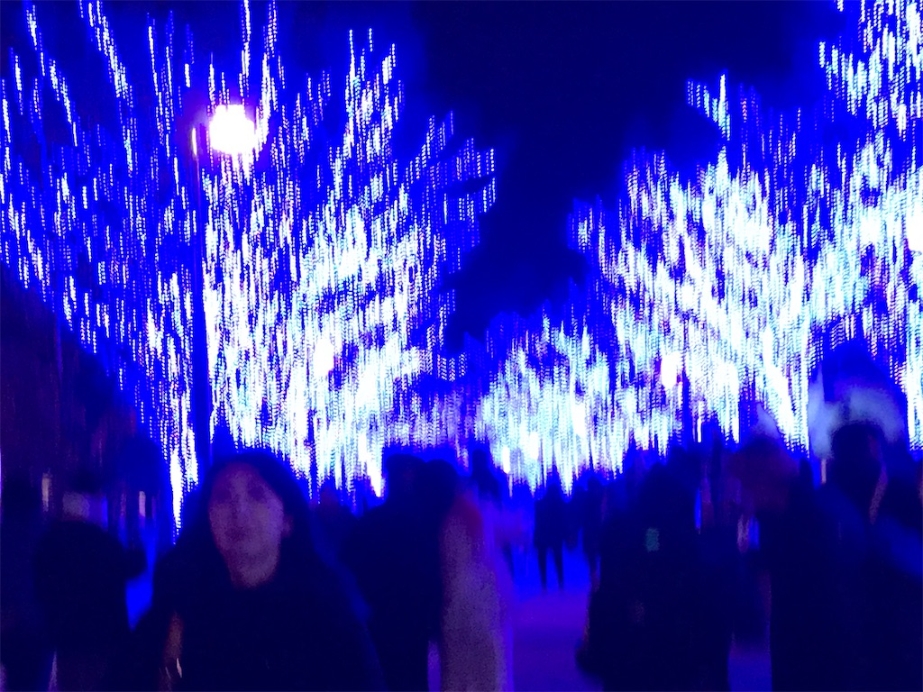 f:id:asakusa5809:20241212213849j:image
