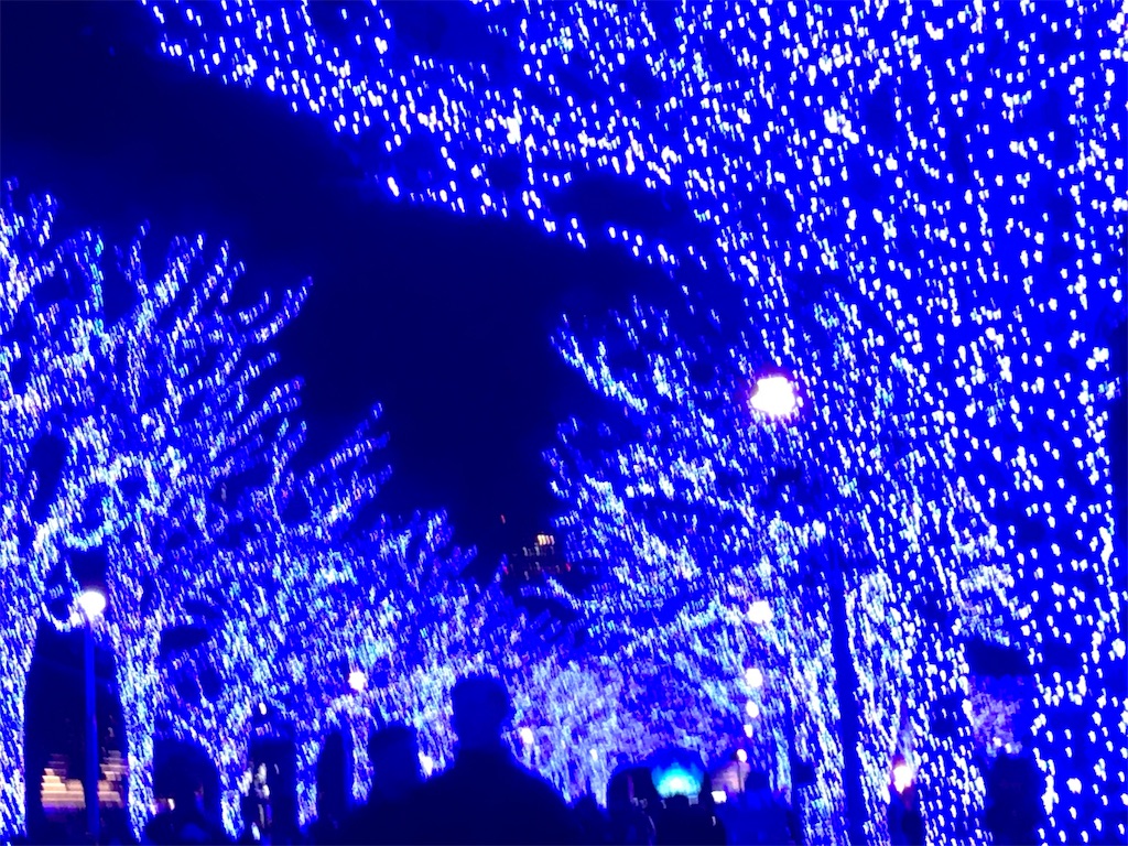 f:id:asakusa5809:20241212213950j:image