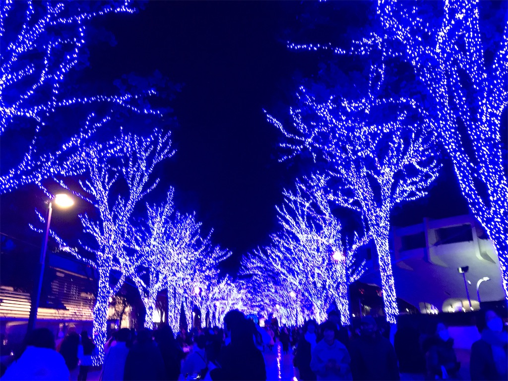 f:id:asakusa5809:20241212214052j:image