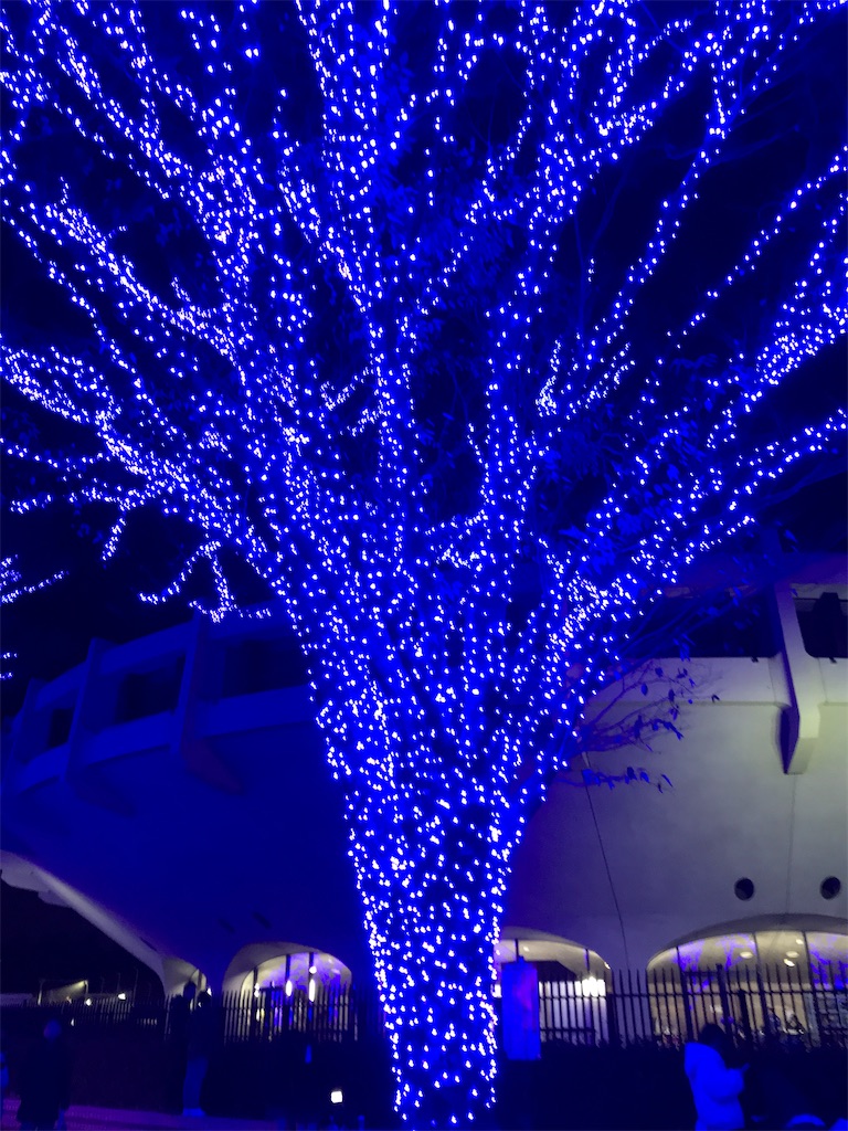 f:id:asakusa5809:20241212214111j:image