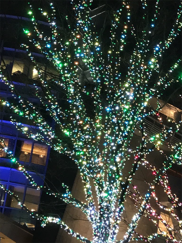 f:id:asakusa5809:20241216100848j:image