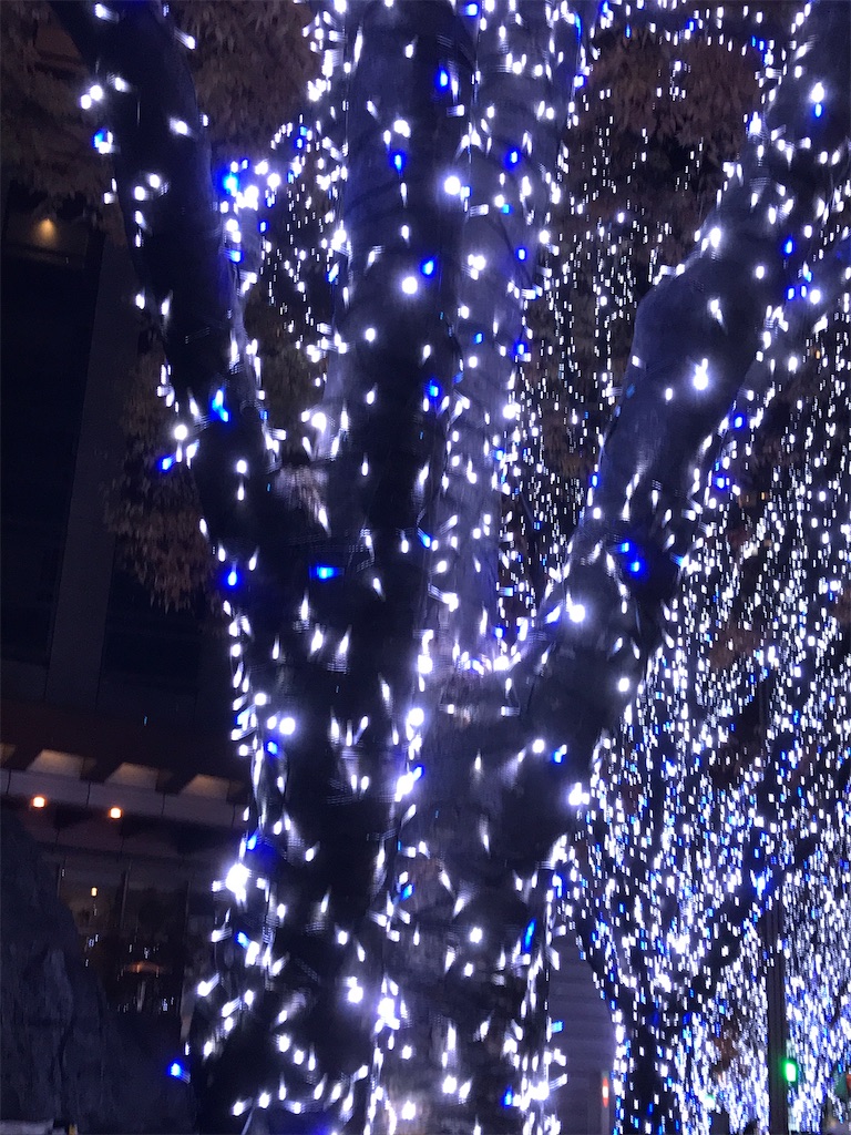 f:id:asakusa5809:20241216100942j:image