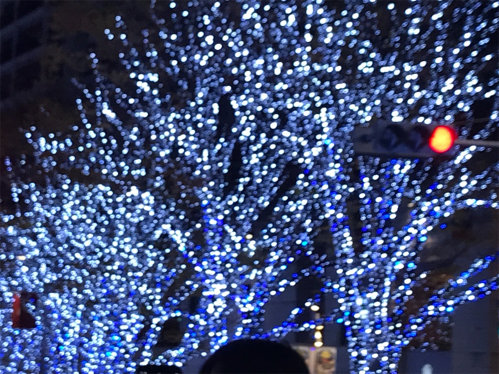 f:id:asakusa5809:20241216101009j:image