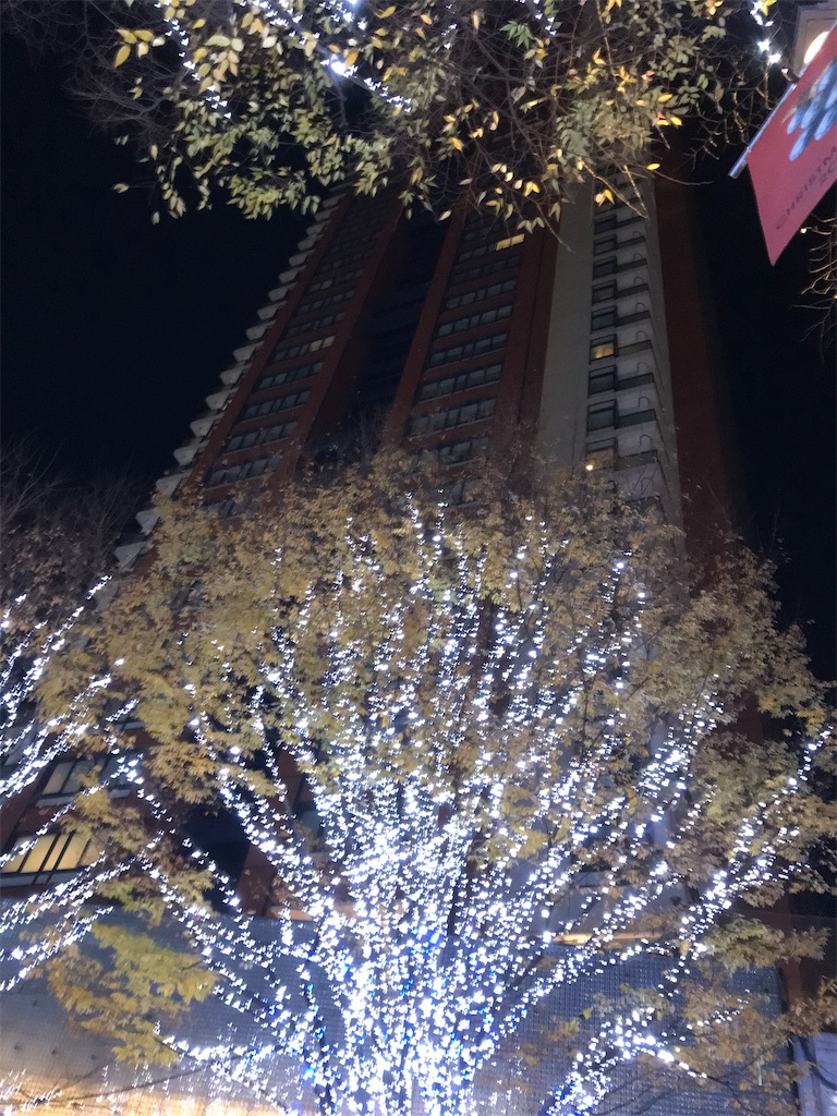 f:id:asakusa5809:20241216101032j:image